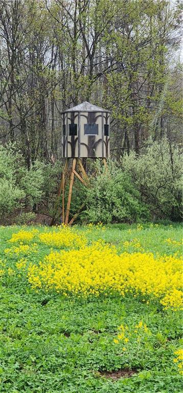 0 Lower Mudlic Road New Bethlehem, PA 16240 - Photo 12 of 38