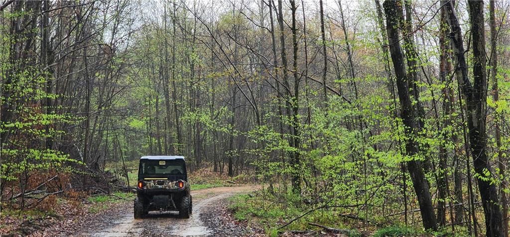 0 Lower Mudlic Road New Bethlehem, PA 16240 - Photo 13 of 38