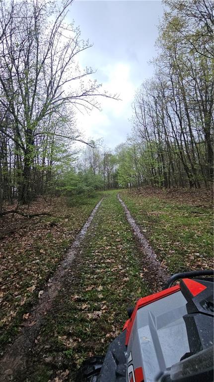 0 Lower Mudlic Road New Bethlehem, PA 16240 - Photo 14 of 38