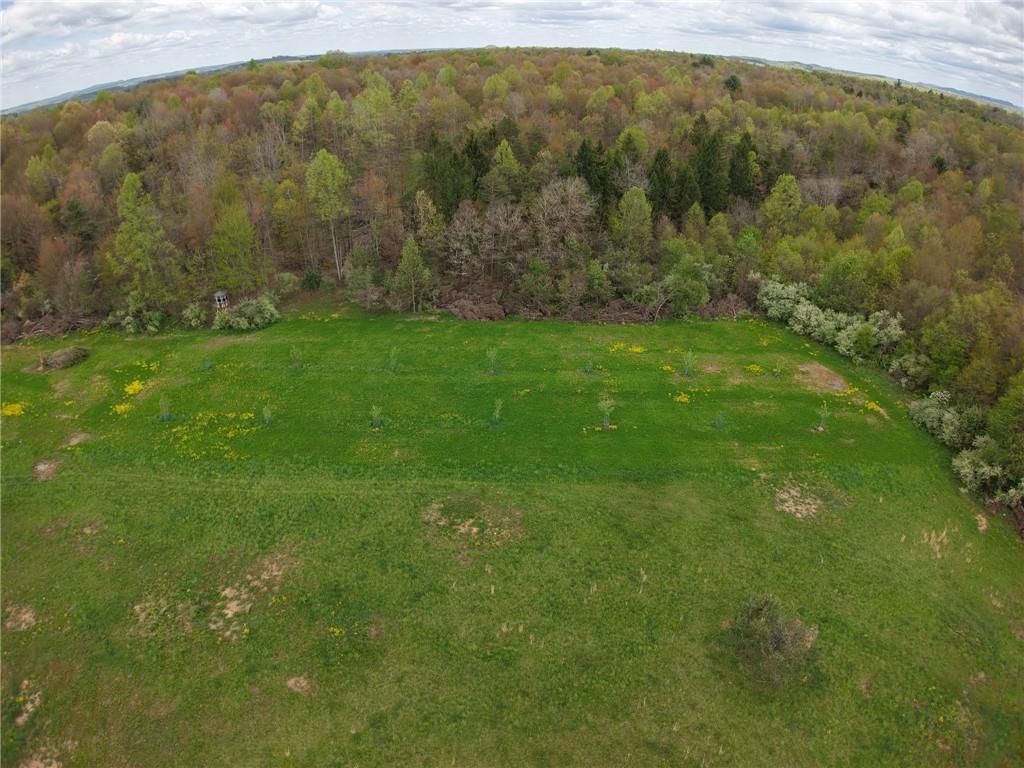 0 Lower Mudlic Road New Bethlehem, PA 16240 - Photo 18 of 38