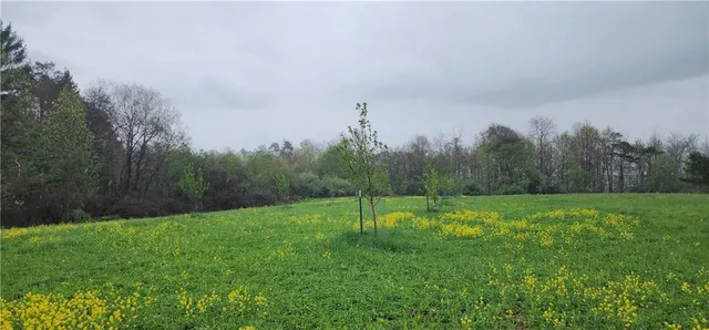 $1,250,000 | 0 Lower Mudlic Road, New Bethlehem, PA 16240