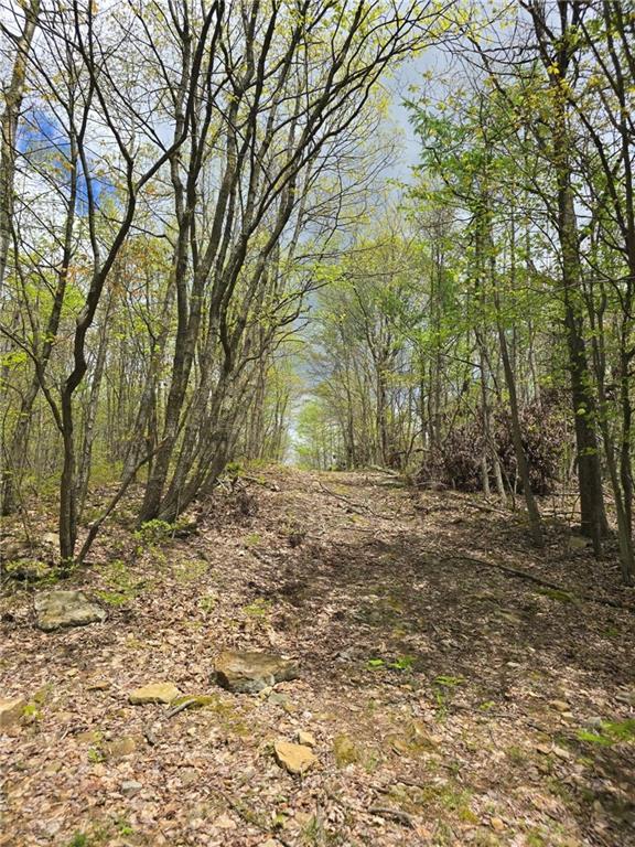 0 Lower Mudlic Road New Bethlehem, PA 16240 - Photo 26 of 38