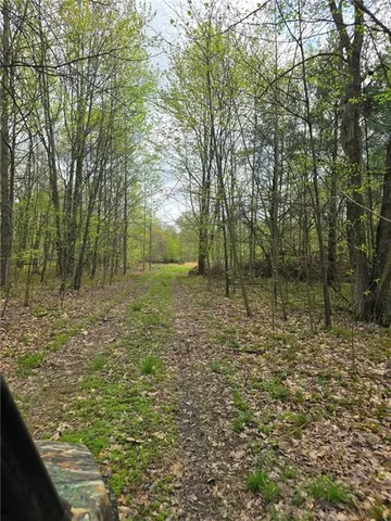 $1,250,000 | 0 Lower Mudlic Road, New Bethlehem, PA 16240