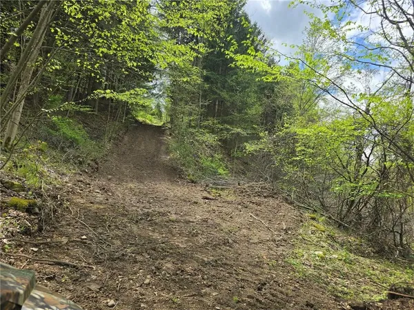 $1,250,000 | 0 Lower Mudlic Road, New Bethlehem, PA 16240