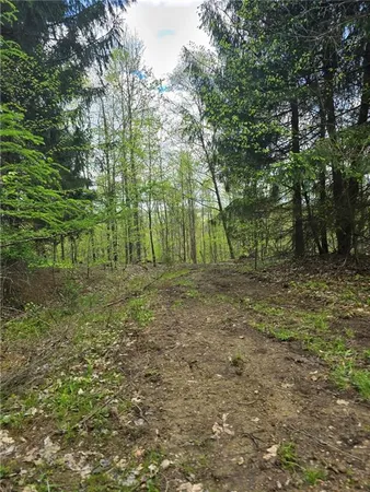 $1,250,000 | 0 Lower Mudlic Road, New Bethlehem, PA 16240