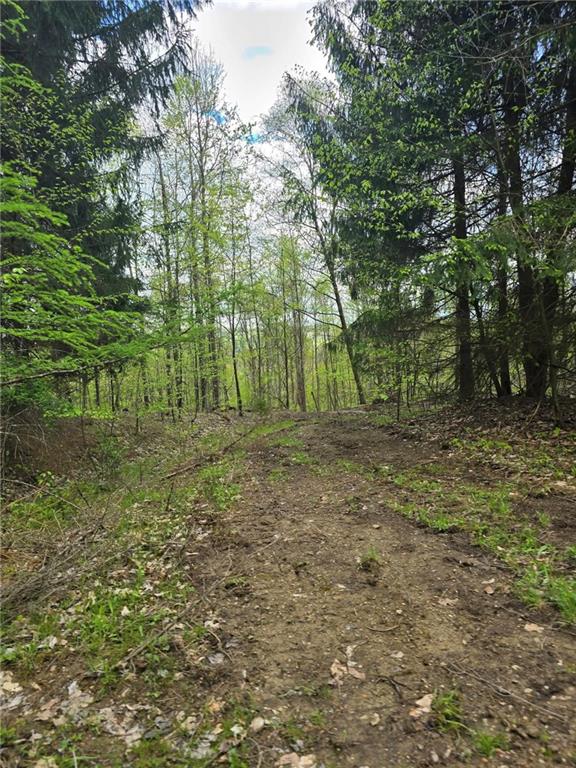 0 Lower Mudlic Road New Bethlehem, PA 16240 - Photo 29 of 38