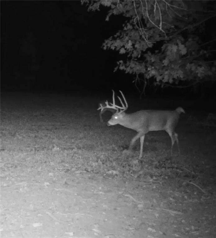 0 Lower Mudlic Road New Bethlehem, PA 16240 - Photo 33 of 38