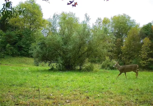 $1,250,000 | 0 Lower Mudlic Road, New Bethlehem, PA 16240