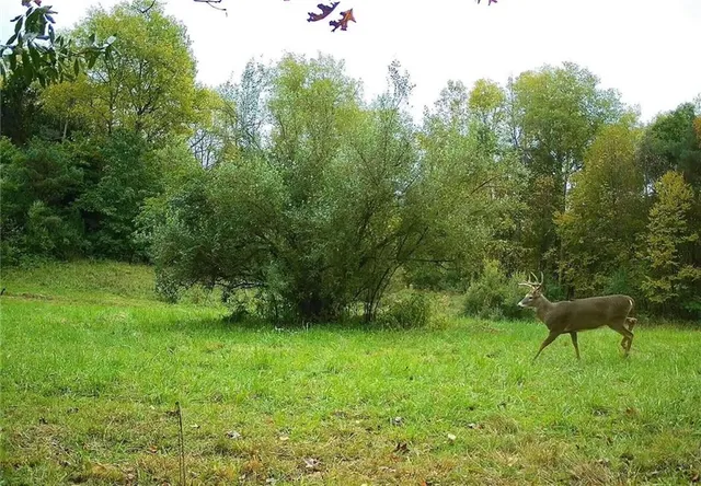 $1,250,000 | 0 Lower Mudlic Road, New Bethlehem, PA 16240