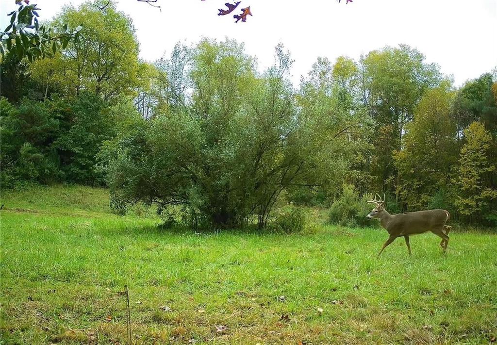 0 Lower Mudlic Road New Bethlehem, PA 16240 - Photo 34 of 38