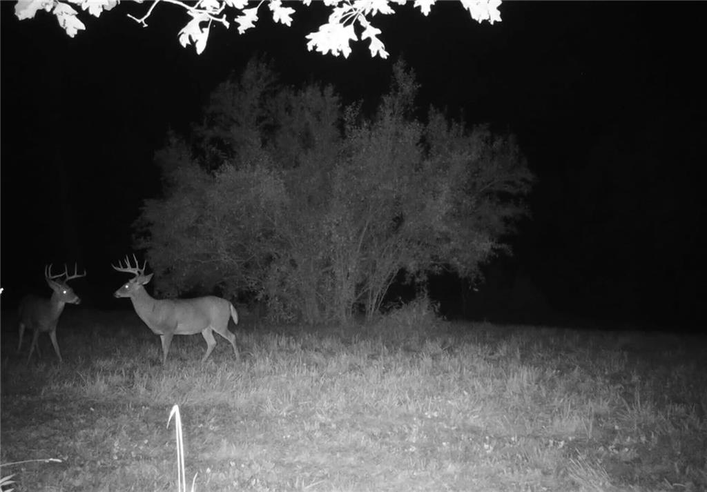 0 Lower Mudlic Road New Bethlehem, PA 16240 - Photo 35 of 38