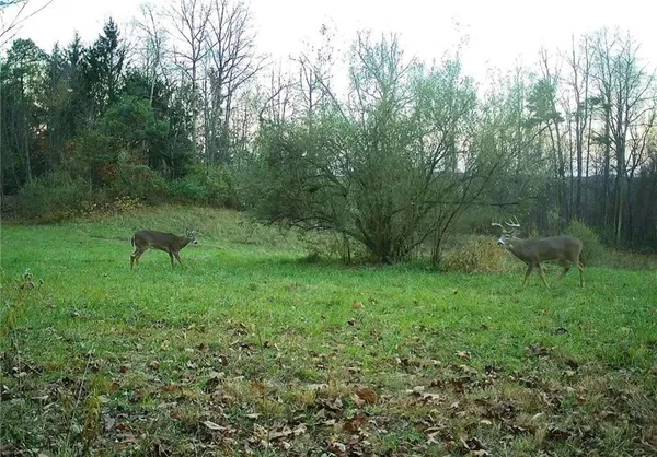 $1,250,000 | 0 Lower Mudlic Road, New Bethlehem, PA 16240