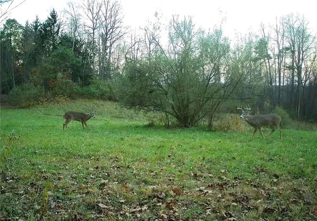 $1,250,000 | 0 Lower Mudlic Road, New Bethlehem, PA 16240