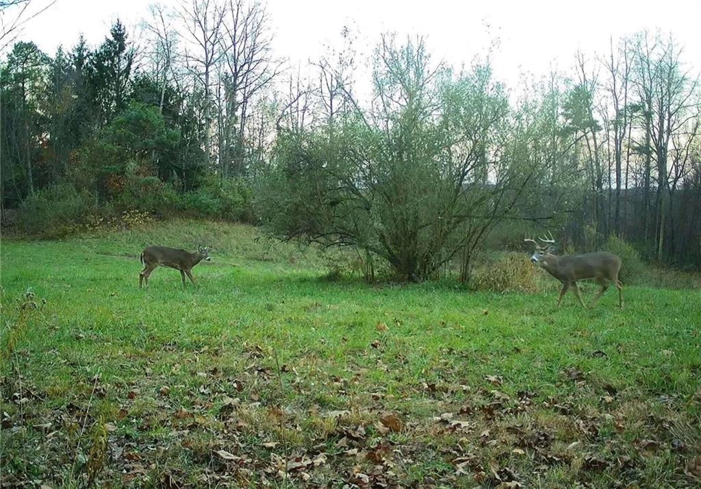 0 Lower Mudlic Road New Bethlehem, PA 16240 - Photo 36 of 38
