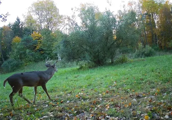 $1,250,000 | 0 Lower Mudlic Road, New Bethlehem, PA 16240