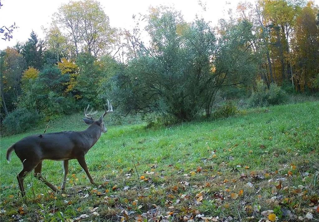 0 Lower Mudlic Road New Bethlehem, PA 16240 - Photo 37 of 38