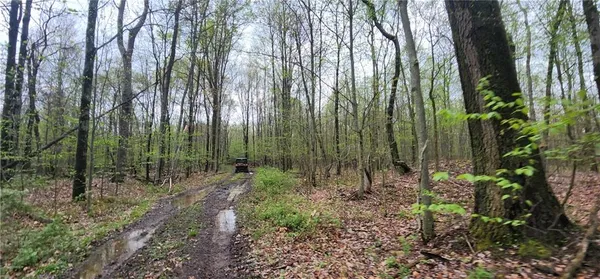 $1,250,000 | 0 Lower Mudlic Road, New Bethlehem, PA 16240