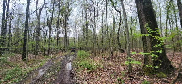 $1,250,000 | 0 Lower Mudlic Road, New Bethlehem, PA 16240