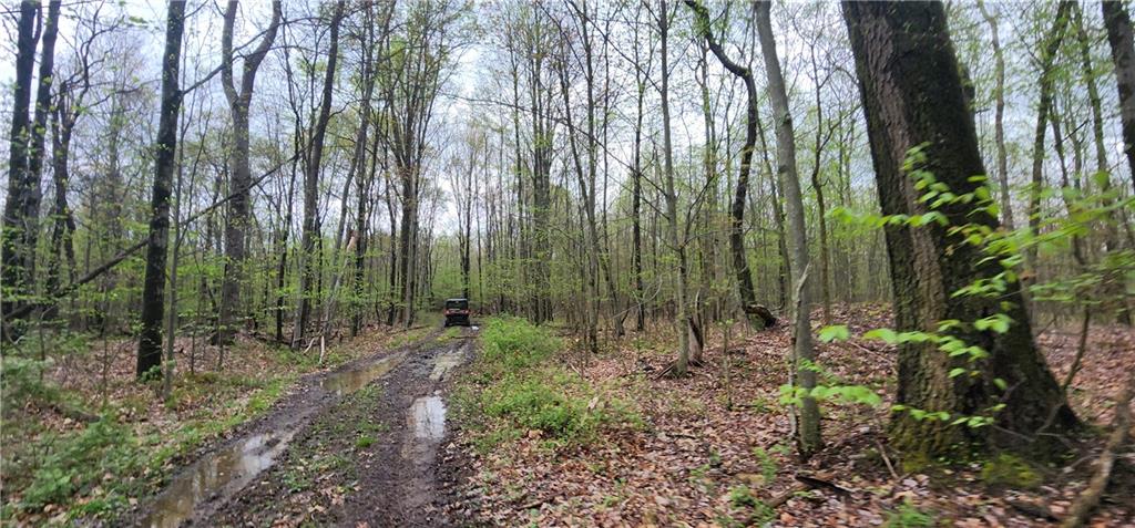 0 Lower Mudlic Road New Bethlehem, PA 16240 - Photo 4 of 38