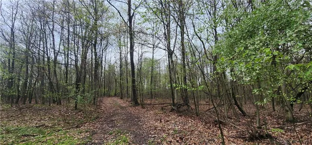 $1,250,000 | 0 Lower Mudlic Road, New Bethlehem, PA 16240