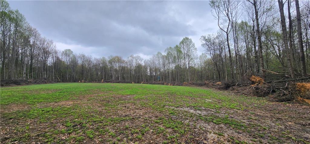 0 Lower Mudlic Road New Bethlehem, PA 16240 - Photo 6 of 38