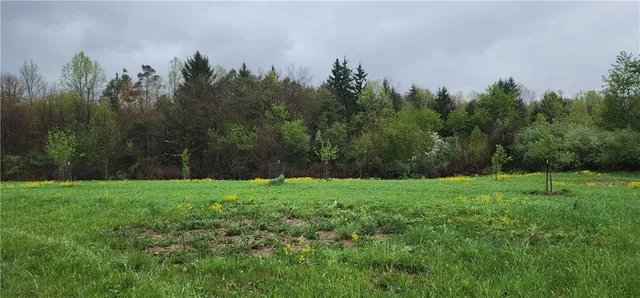 $1,250,000 | 0 Lower Mudlic Road, New Bethlehem, PA 16240