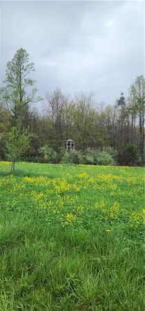 $1,250,000 | 0 Lower Mudlic Road, New Bethlehem, PA 16240