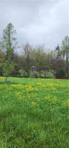 $1,250,000 | 0 Lower Mudlic Road, New Bethlehem, PA 16240