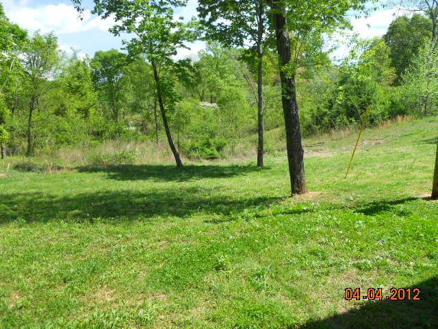 1609 Maple Valley Road Charlotte, TN 37036 - Photo 5 of 11 BACK YARD