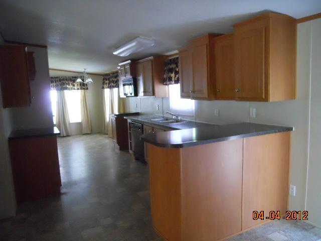 1609 Maple Valley Road Charlotte, TN 37036 - Photo 6 of 11 KITCHEN HAS MANY PRETTY CABINETS AND PANTRY