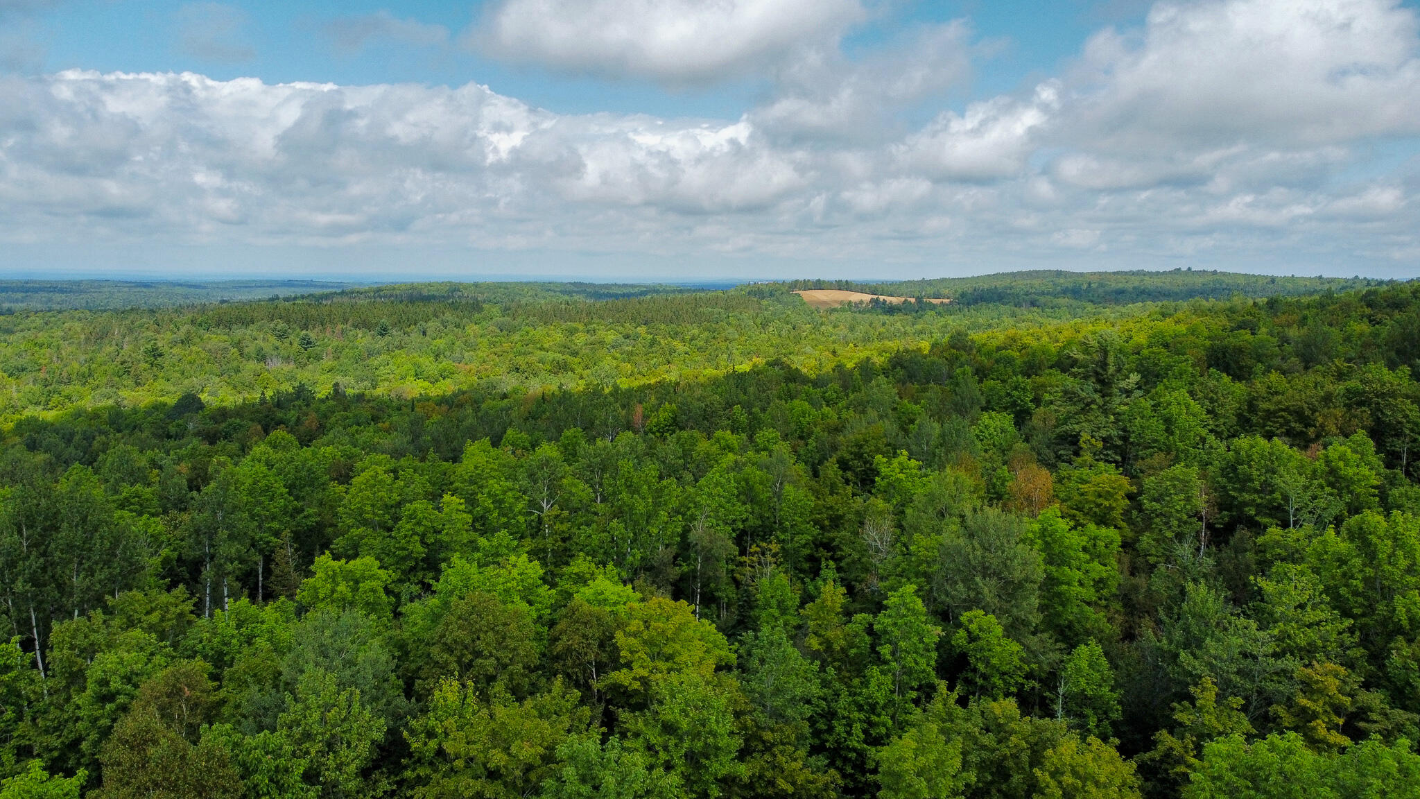 Lot 28.1 Kossar Road Carroll Plt, ME 04487 - Photo 8 of 14 8