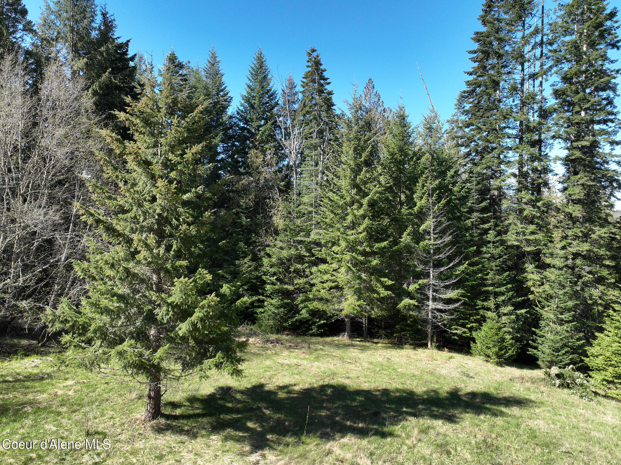 Nna Bottle Brand Road Hope, ID 83836 - Photo 9 of 38 DJI_0175