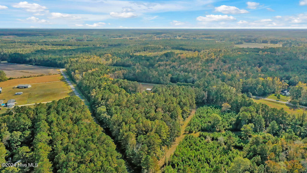 3122 Porter Road Currie, NC 28435 - Photo 101 of 102 3122PorterRoadDrone-11