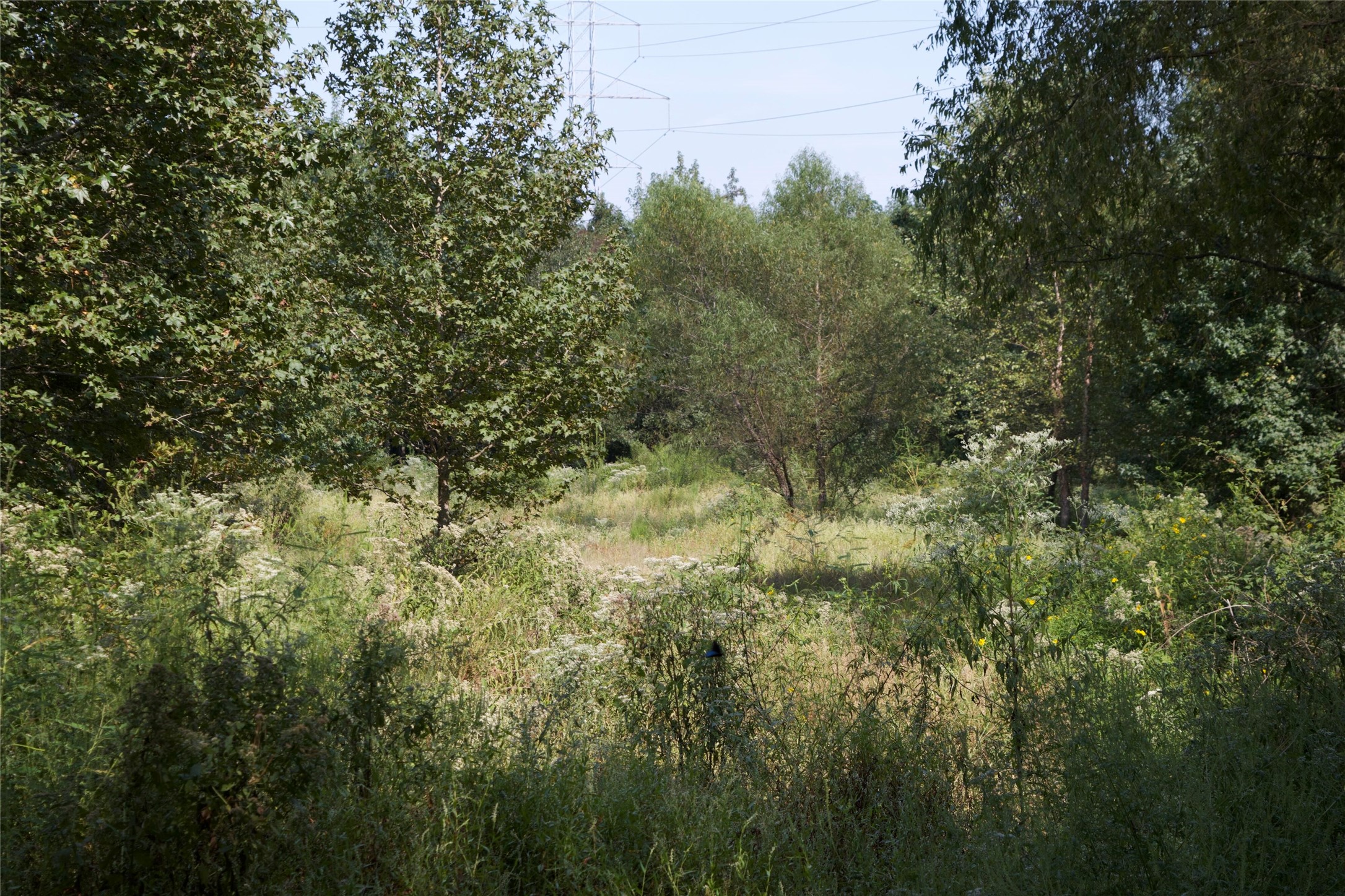 3109 Jan Road Omaha, TX 75571 - Photo 2 of 13