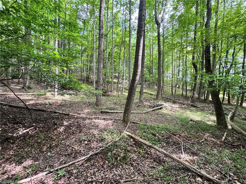429 Wayne Marshall Road Elkin, NC 28621 - Photo 17 of 19