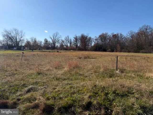 a view of a field with trees in background