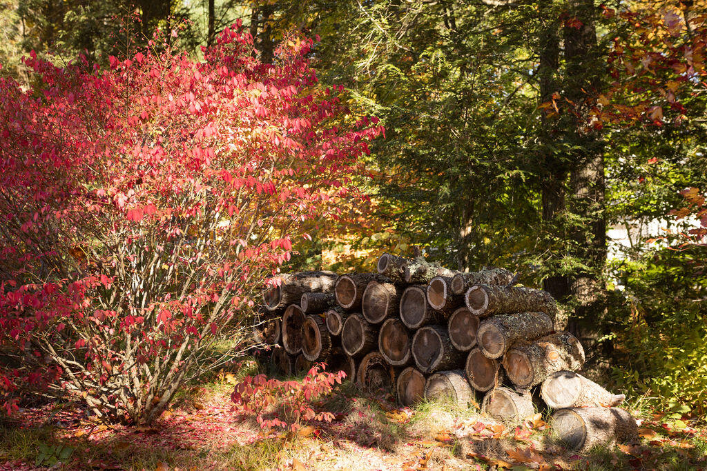 126 Josiah Norton Road Cape Neddick, ME 03902 - Photo 45 of 53 126 Josiah Norton Rd, York