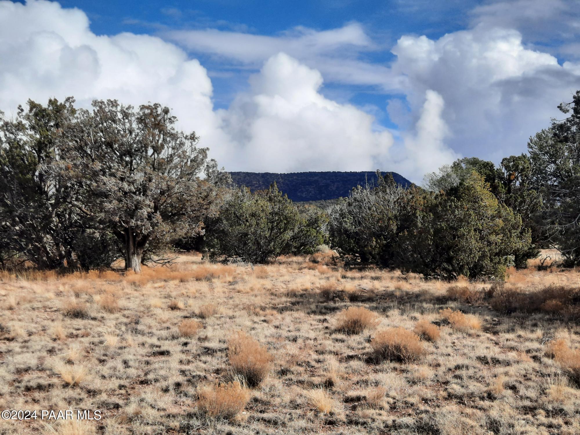 Lot 984 West Bullet Road Seligman, AZ 86337 - Photo 1 of 20 cover