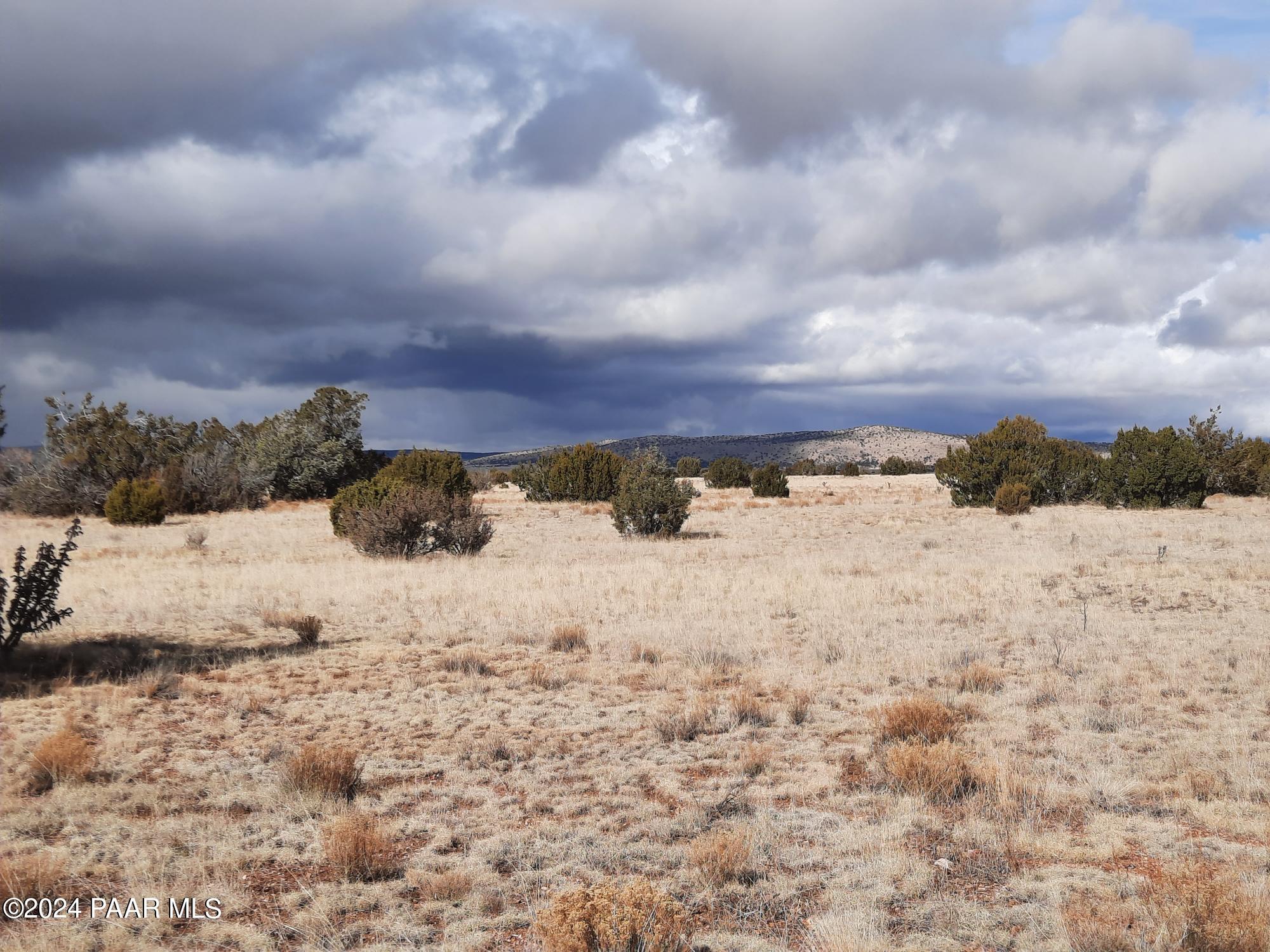 Lot 984 West Bullet Road Seligman, AZ 86337 - Photo 13 of 20 20240123_134440