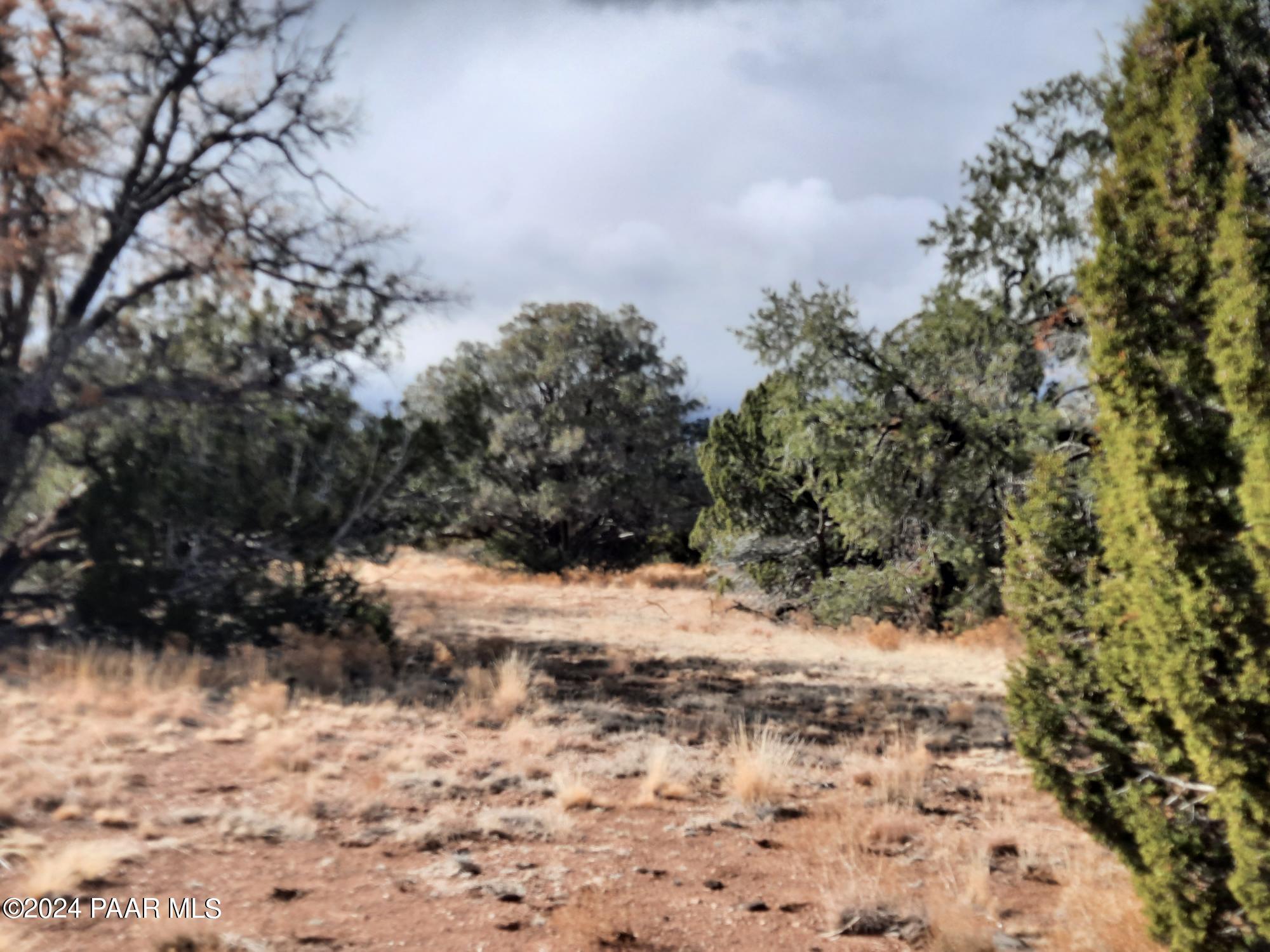 Lot 984 West Bullet Road Seligman, AZ 86337 - Photo 14 of 20 20240123_134545