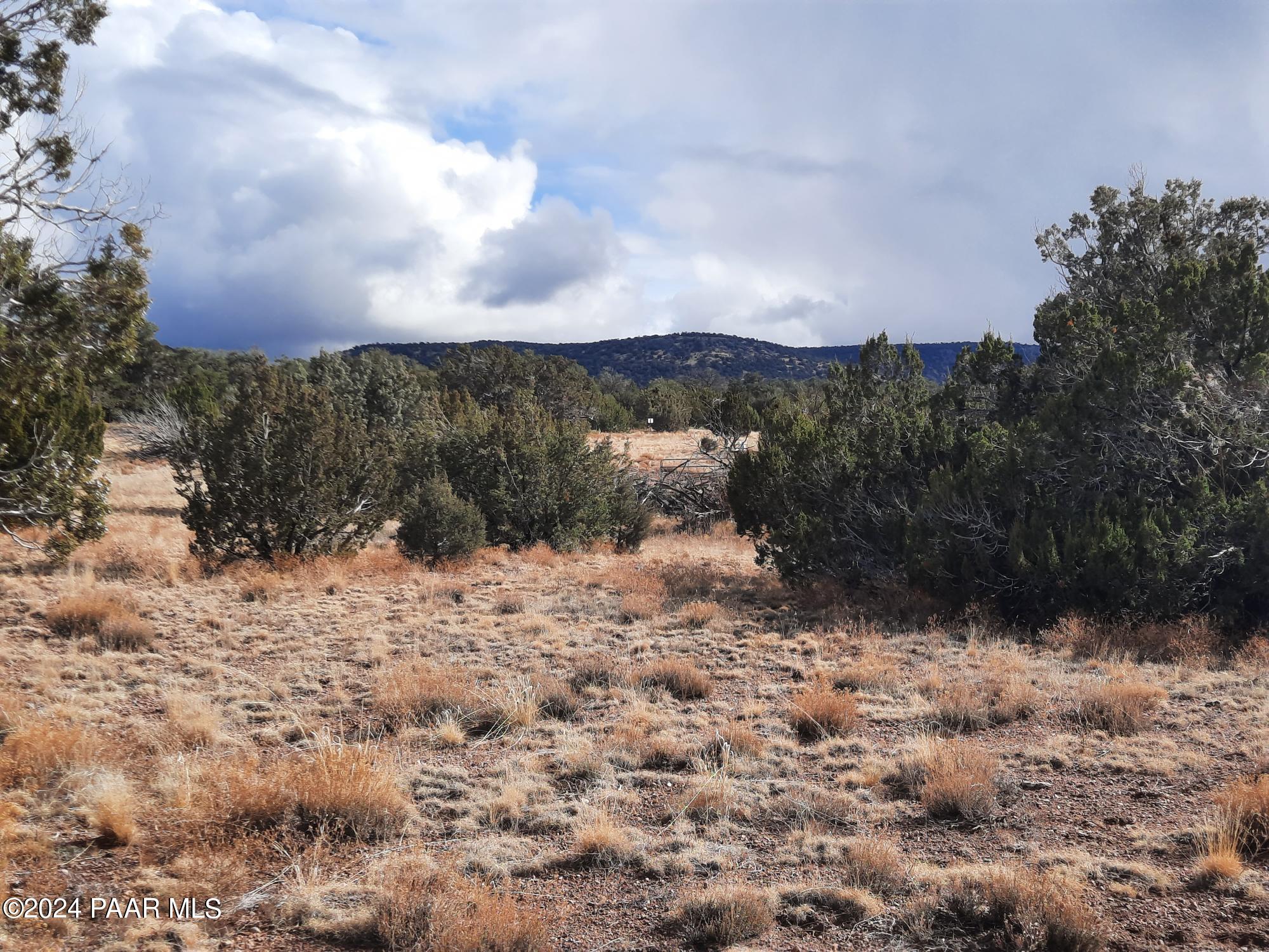 Lot 984 West Bullet Road Seligman, AZ 86337 - Photo 15 of 20 20240123_134618
