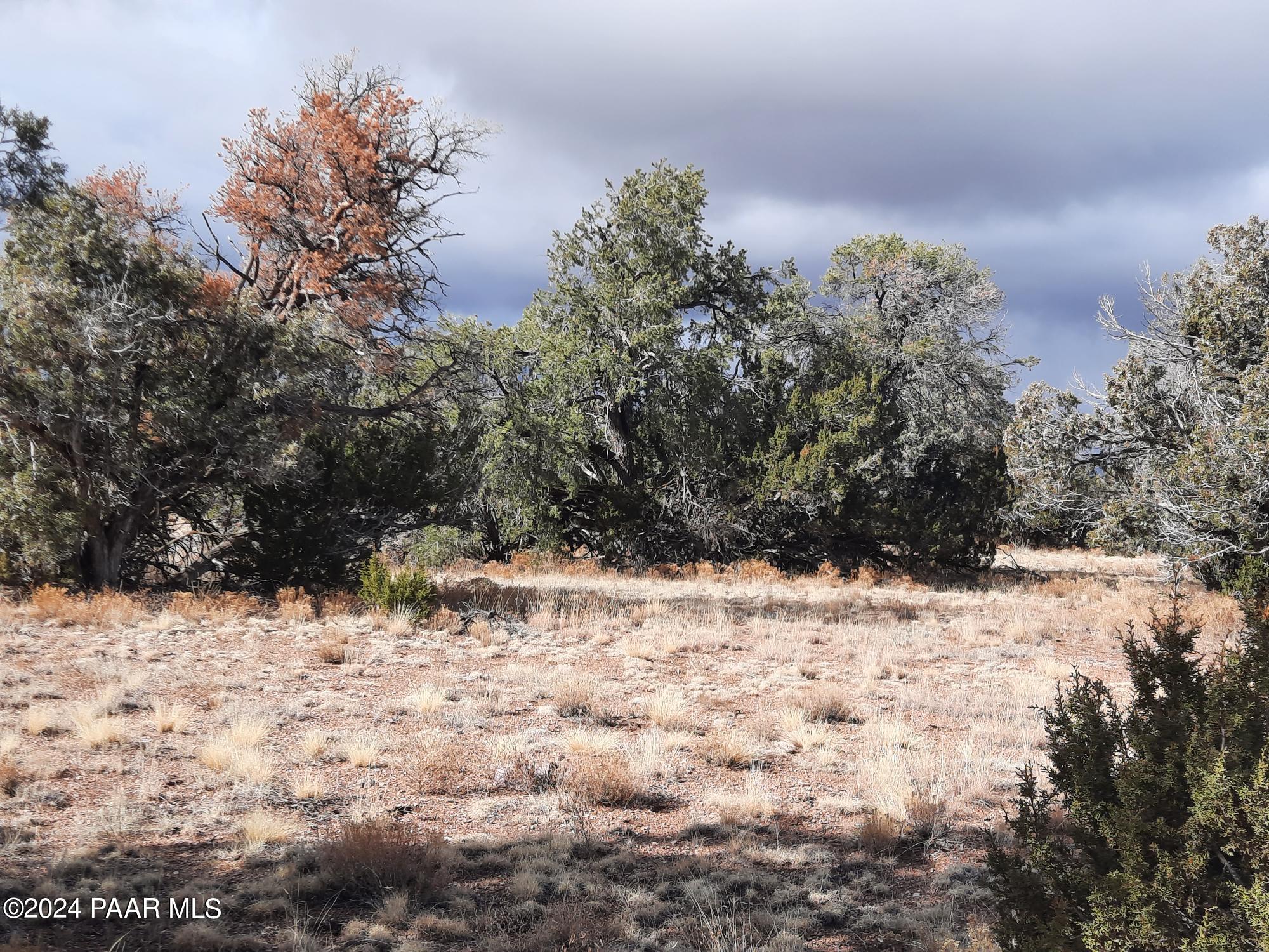 Lot 984 West Bullet Road Seligman, AZ 86337 - Photo 16 of 20 20240123_134631
