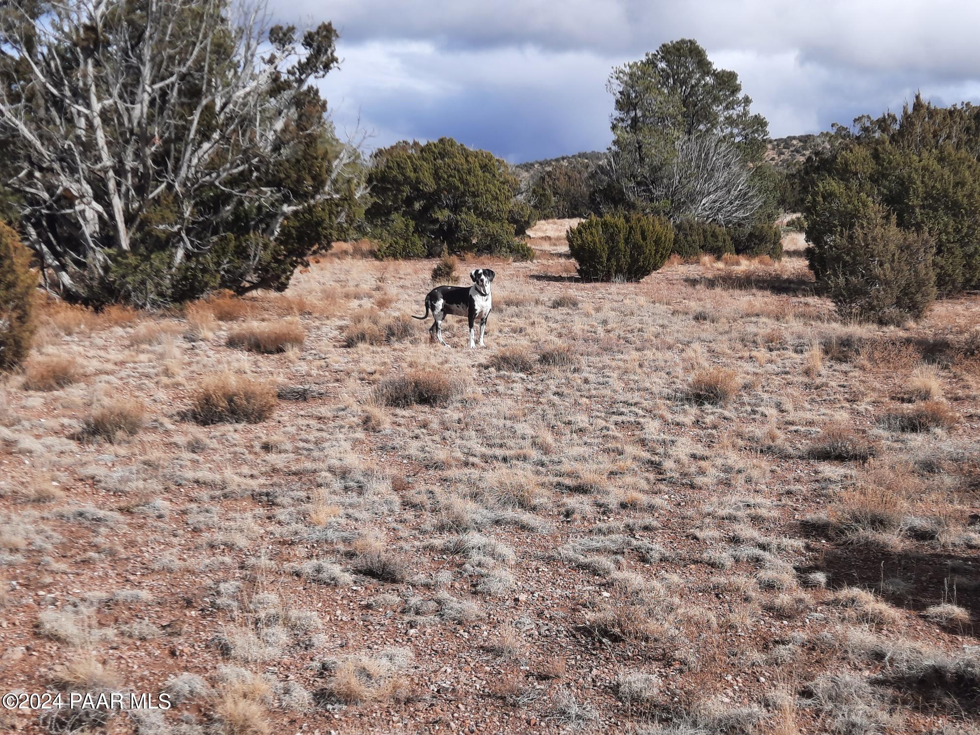 Lot 984 West Bullet Road Seligman, AZ 86337 - Photo 18 of 20 20240123_134717