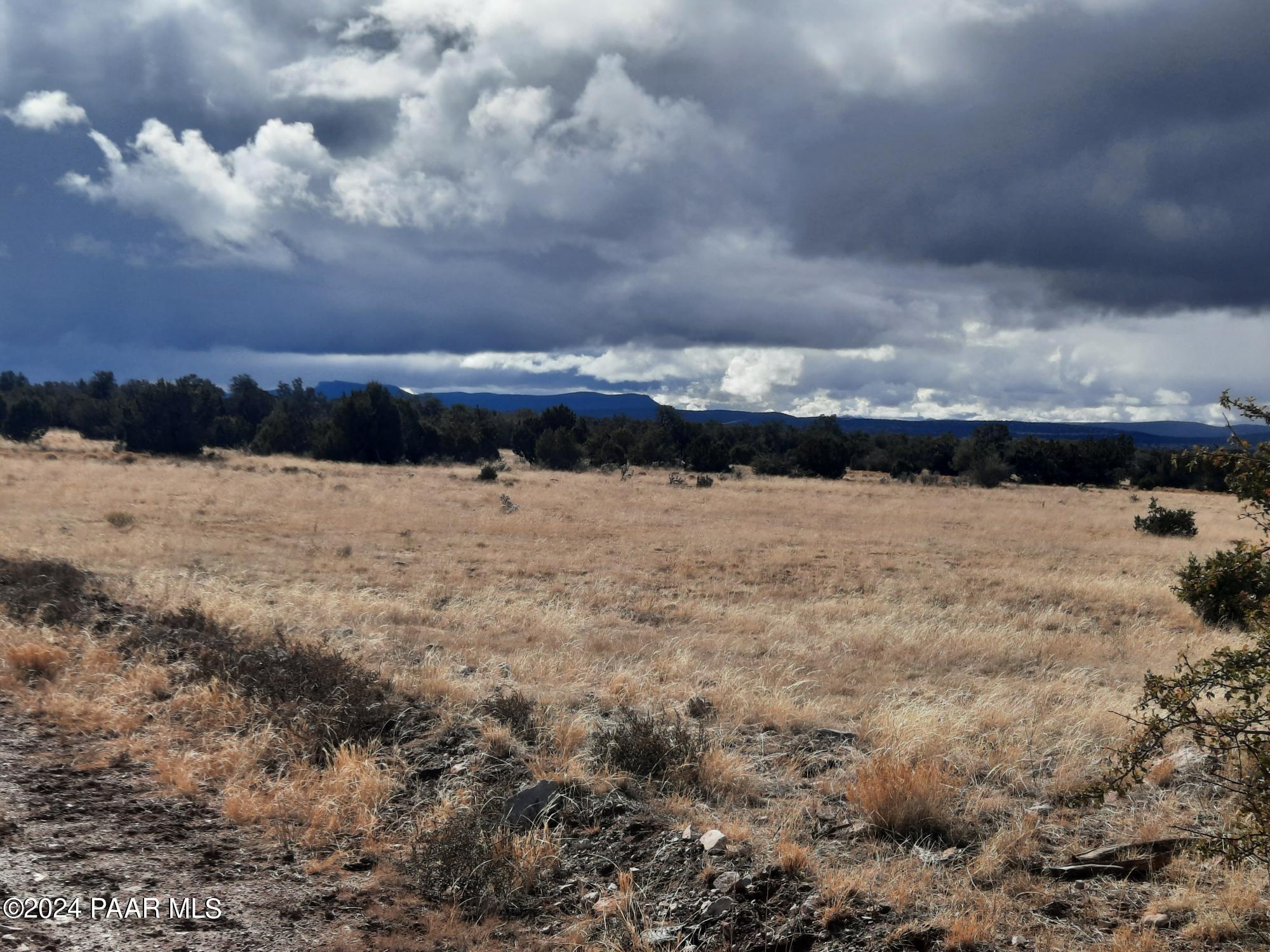 Lot 984 West Bullet Road Seligman, AZ 86337 - Photo 19 of 20 20240123_133750