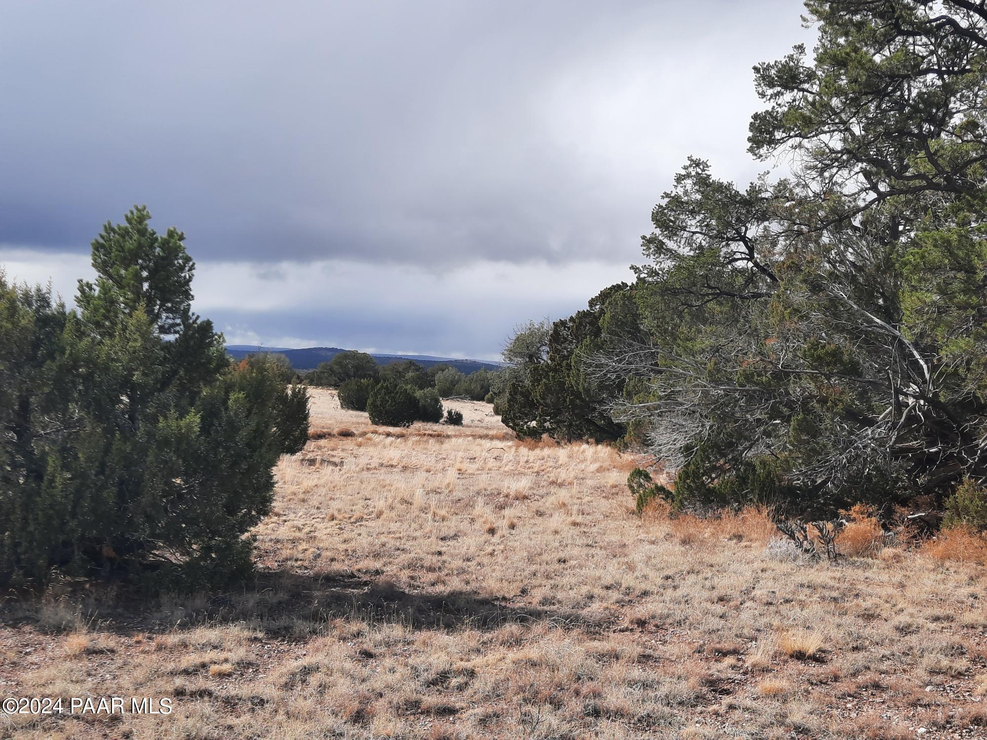 Lot 984 West Bullet Road Seligman, AZ 86337 - Photo 20 of 20 20240123_134758