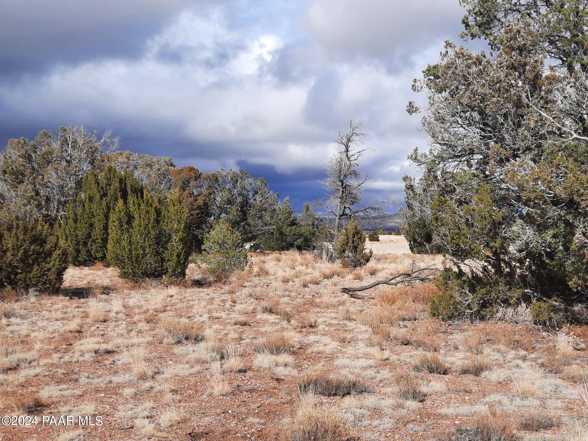 Lot 984 West Bullet Road Seligman, AZ 86337 - Photo 4 of 20 20240123_134726