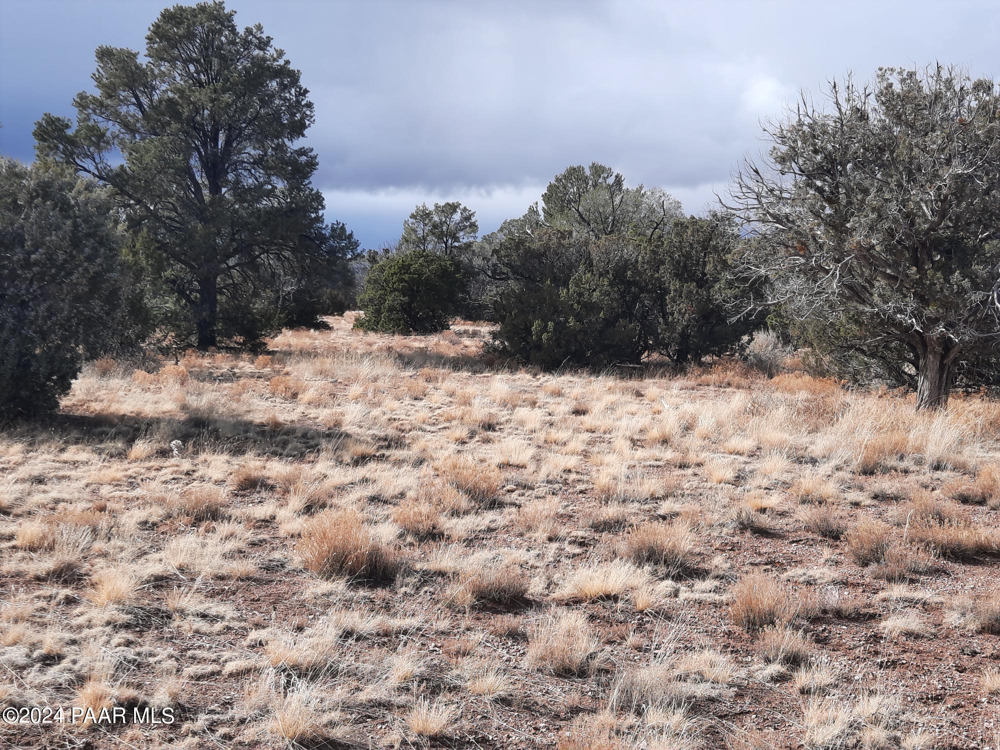 Lot 984 West Bullet Road Seligman, AZ 86337 - Photo 5 of 20 20240123_134148