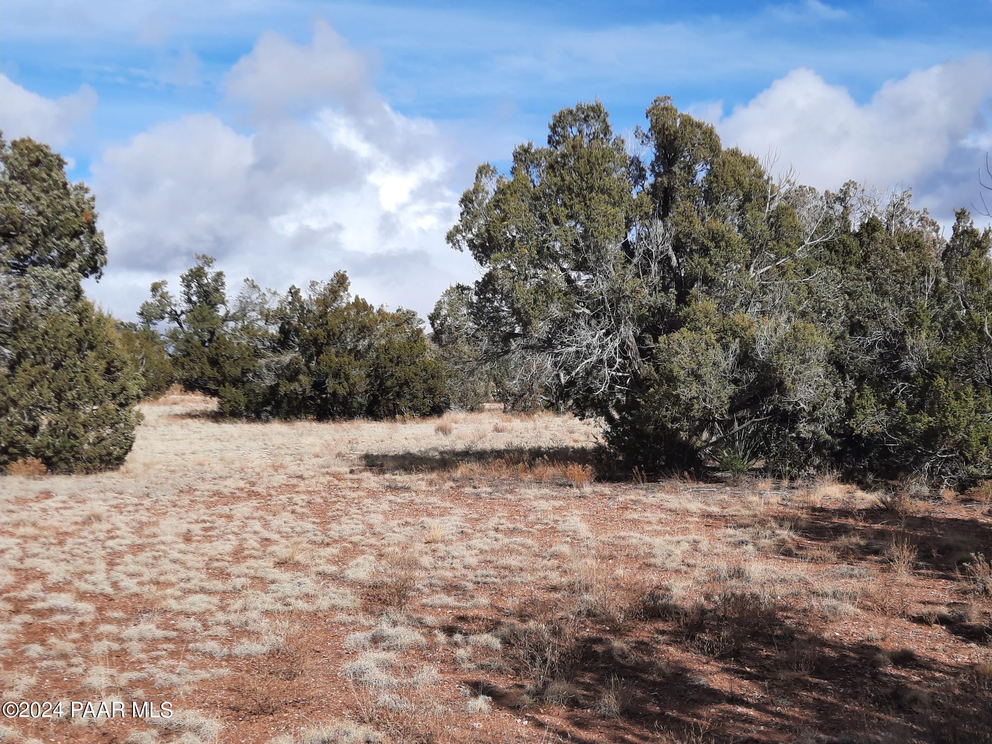 Lot 984 West Bullet Road Seligman, AZ 86337 - Photo 7 of 20 20240123_134259