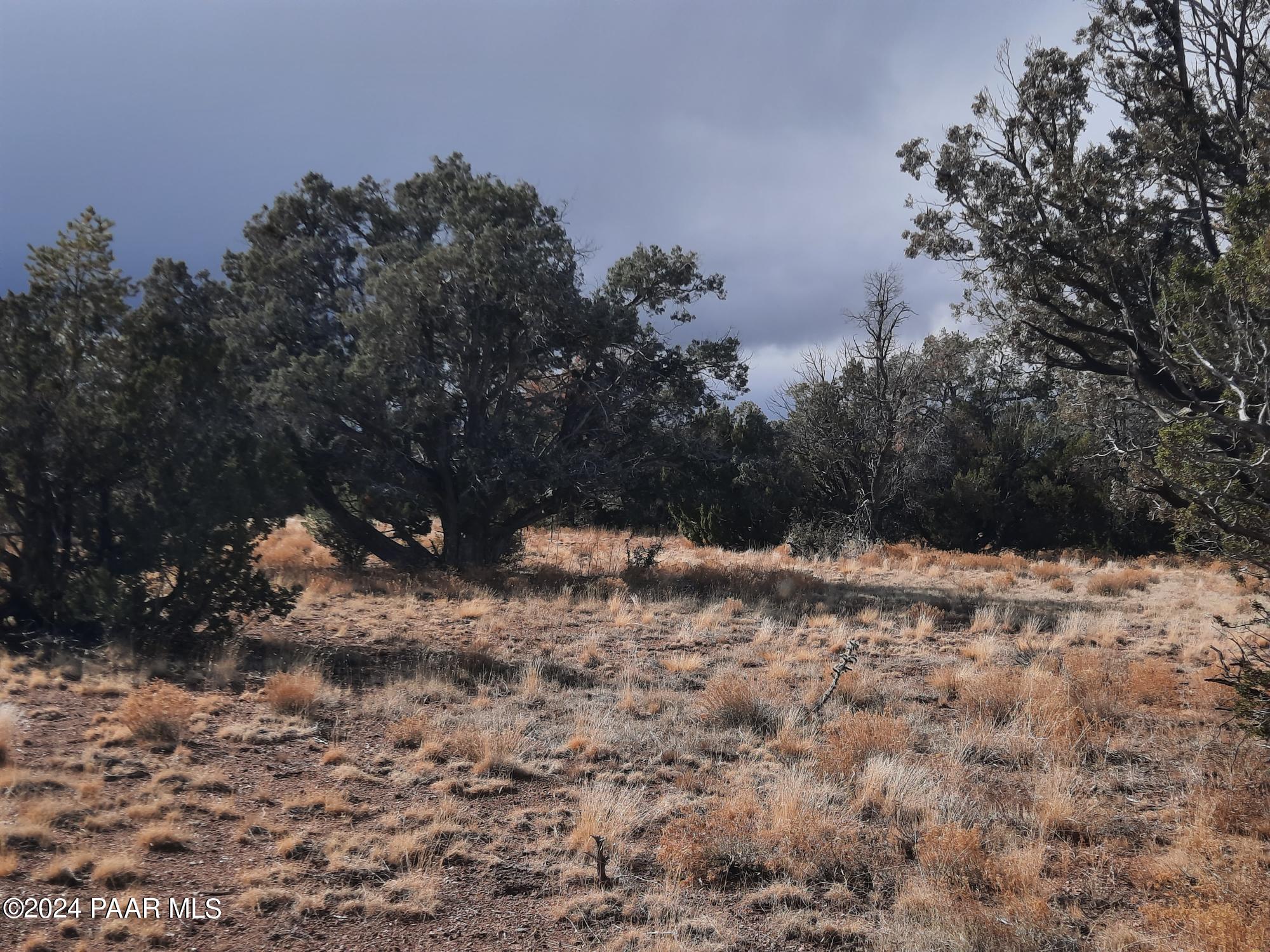 Lot 984 West Bullet Road Seligman, AZ 86337 - Photo 8 of 20 20240123_134319