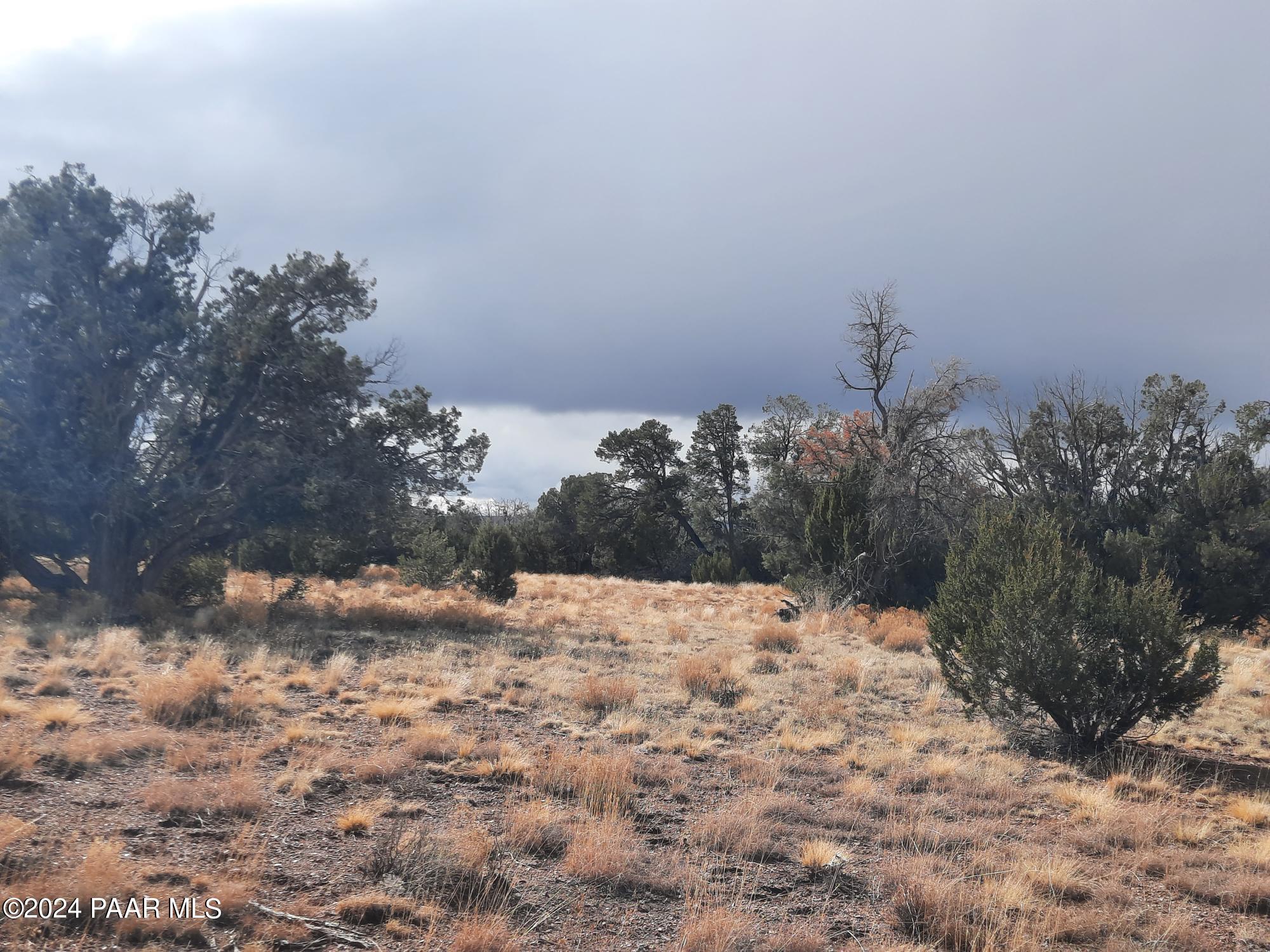 Lot 984 West Bullet Road Seligman, AZ 86337 - Photo 9 of 20 20240123_134344